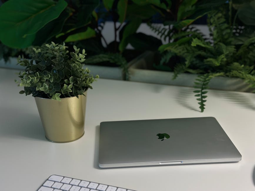 A clean and modern workspace featuring a laptop, keyboard, and potted plant on a white desk with green foliage.
